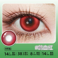 DGUGULENS Zhao Cai Jin Bao 6-Month Deep Blue Gray Cosplay Contact Lenses – Kagura & Umaru