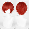 Manmei Wigs: 30cm Spiky Cosplay Wigs (Authentic)